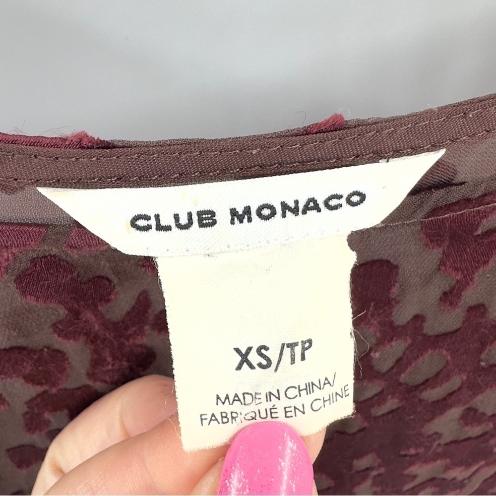 Club Monaco Top Womens XS Velvet Burnout Whimsigoth Fairy Grunge Vamp Sheer - Picture 5 of 8